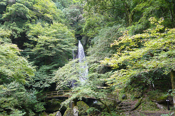 高知県津野町 長沢の滝